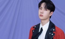 娱乐圈人爆料王一博,娱乐圈爆料背后的真实故事